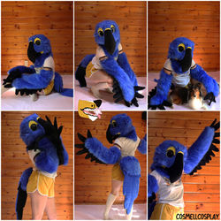 Macaw collage-19