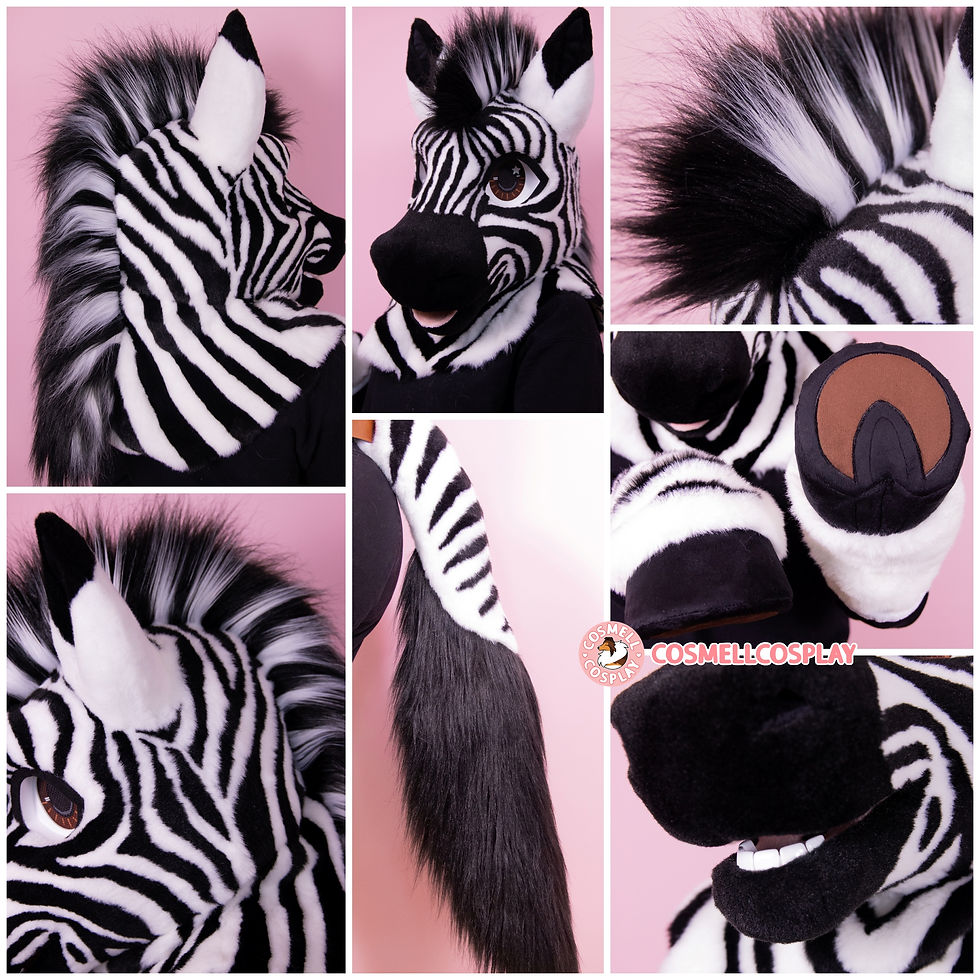 Zebra Details