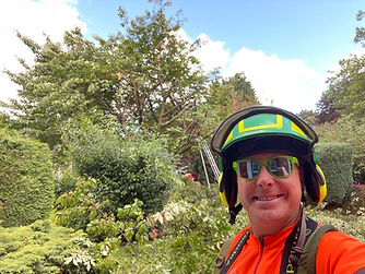 Timber tree servives Tree surgeon Lytham , balckpool , kirkham , Preston