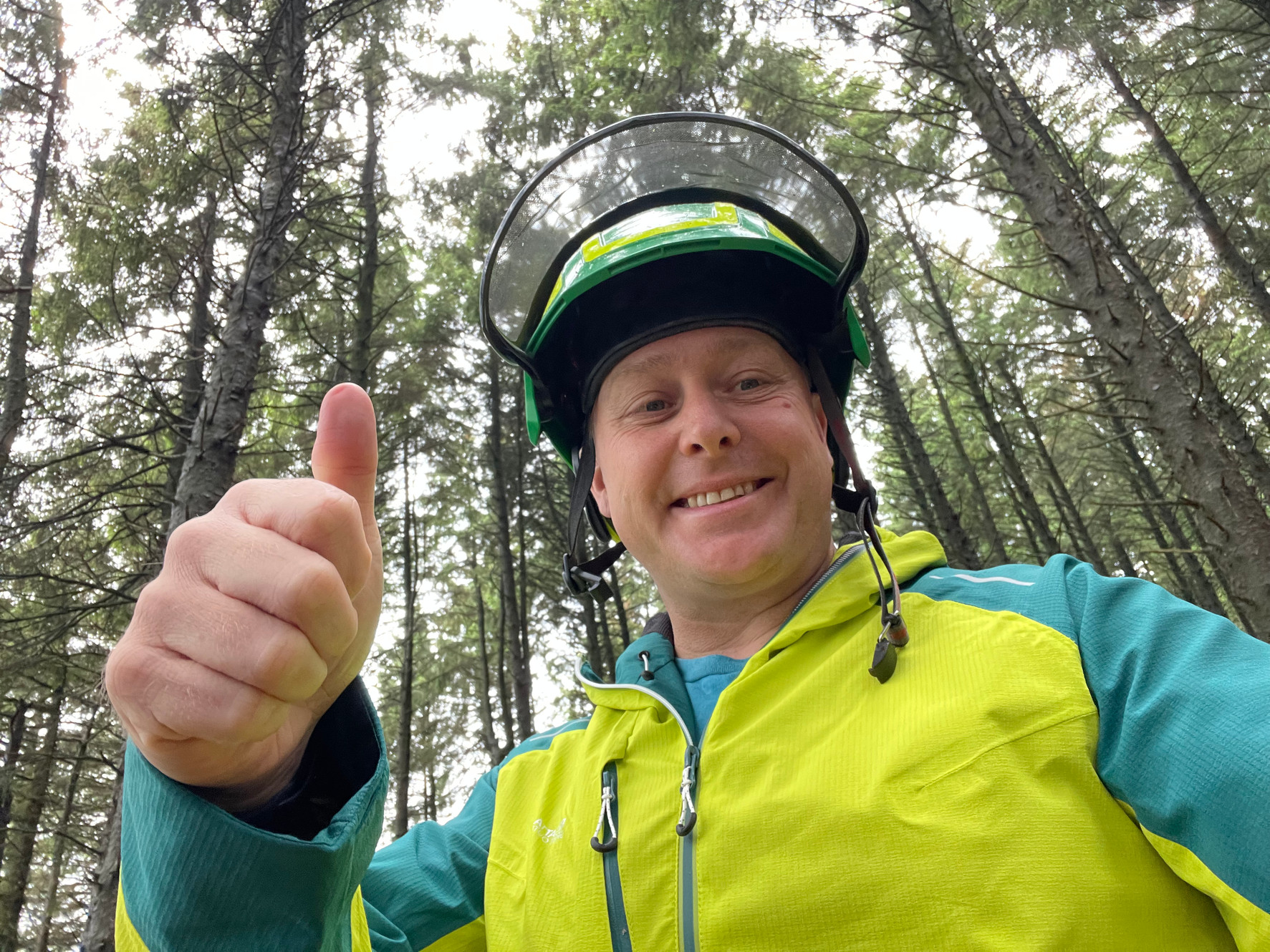 Services timber tree services