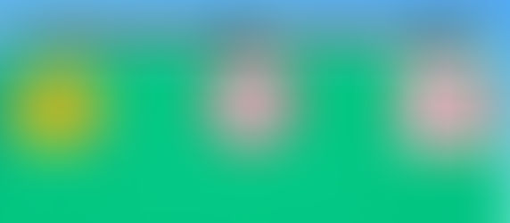 Effective Advertising by Vehicle Signs