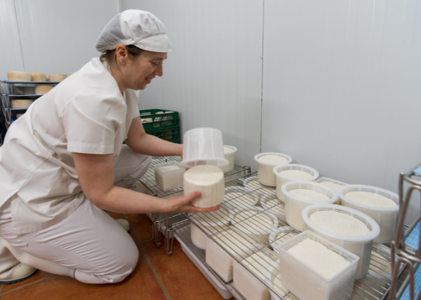 Discovering the Best Artisan Cheese Delivery Companies A Guide to