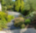 20190702_180243.jpg