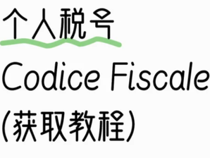 🇮🇹意大利税号Codice Fiscale申请指南
