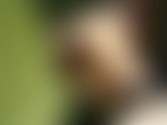 ワンちゃんの言語とは？