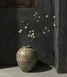 ステラ作品