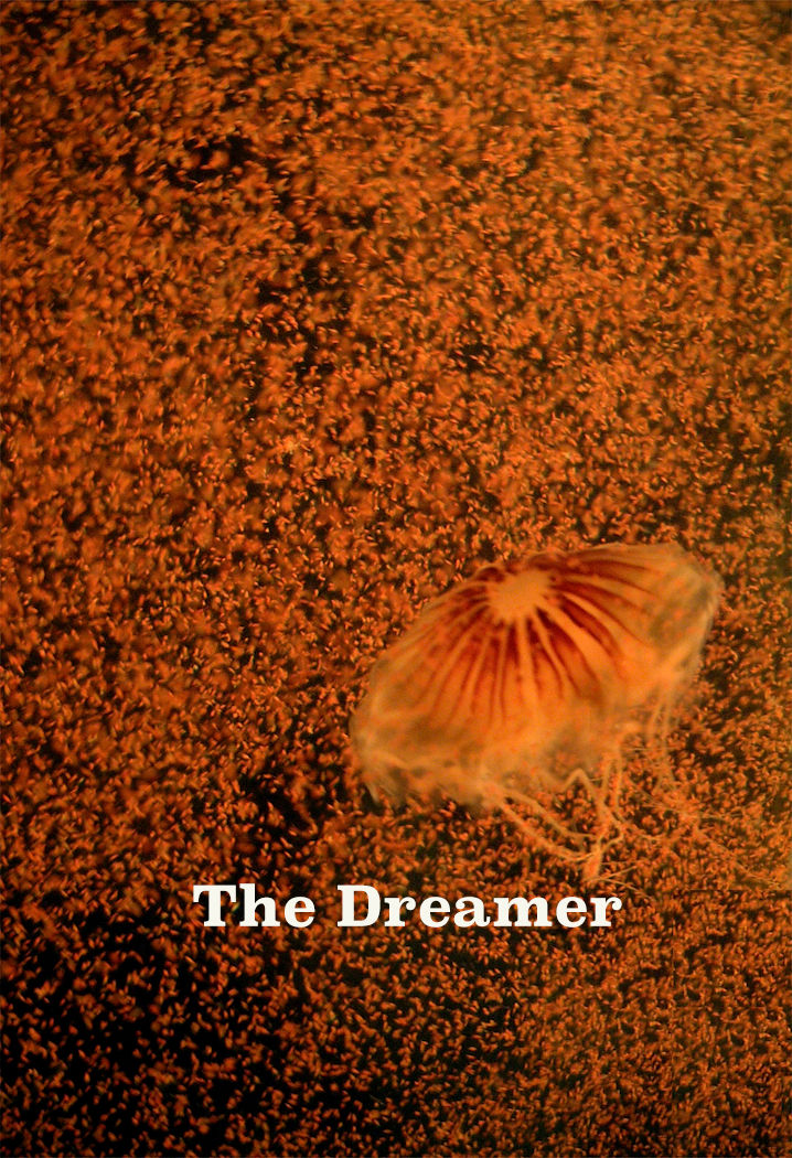 The Dreamer