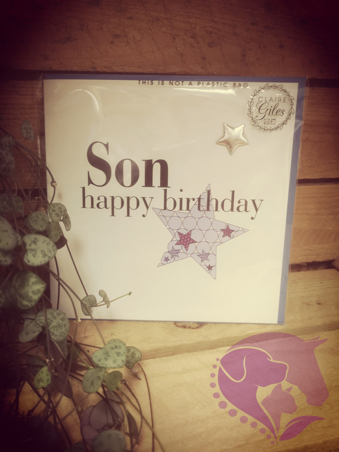 Claire Giles Happy Birthday Son Card
