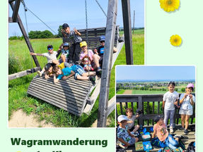 Wagram-Wanderung der 1.a