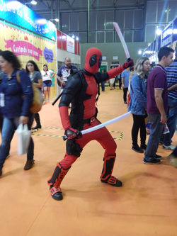 XVII Bienal Internacional do Livro (11)