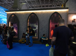 XVII Bienal Internacional do Livro (52)