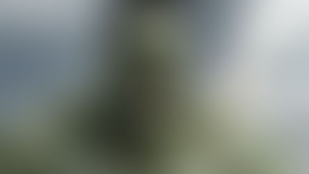 Thor: Ragnarok | Taika Waititi fez capturas de movimentos do Hulk