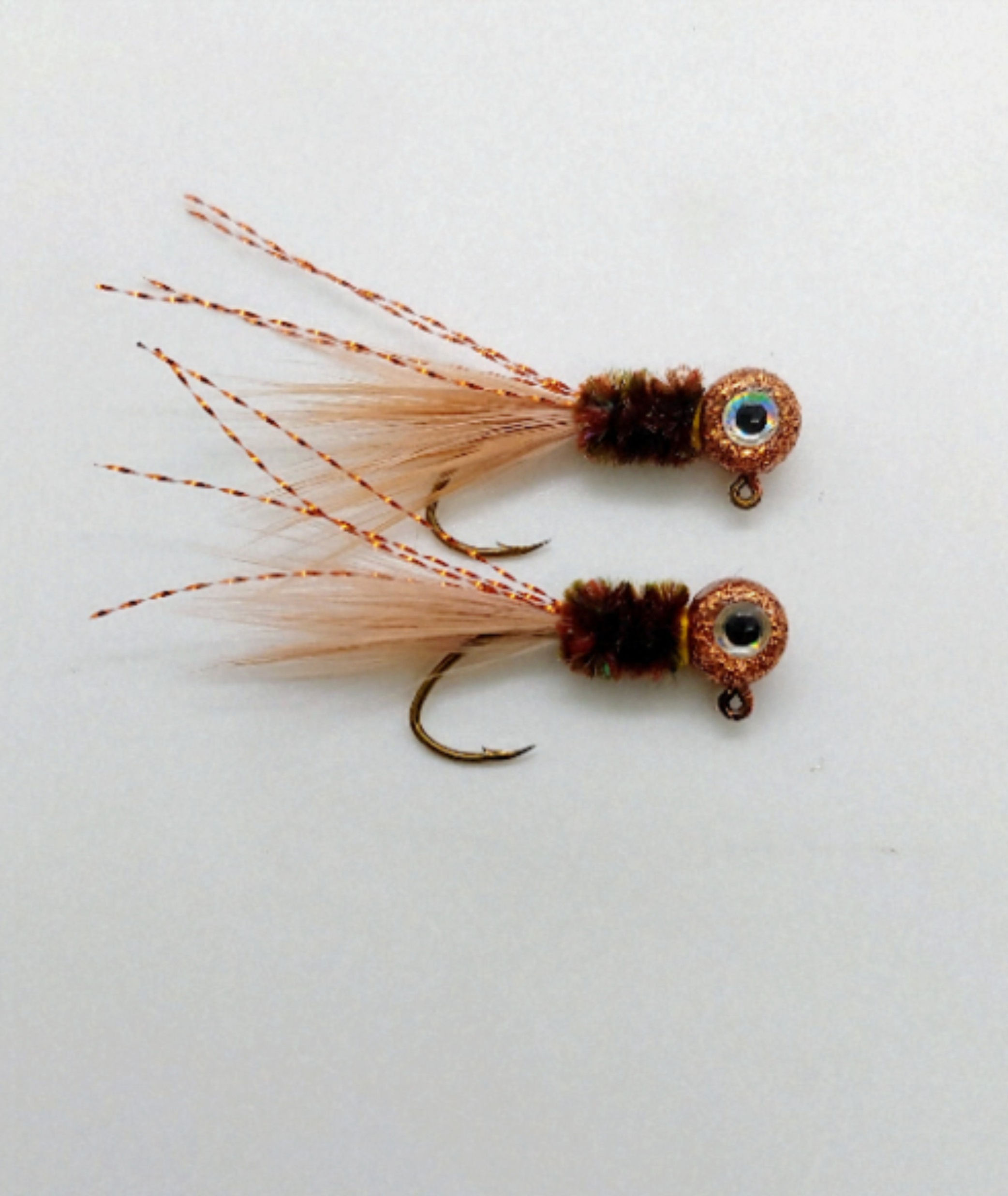 Copper shad