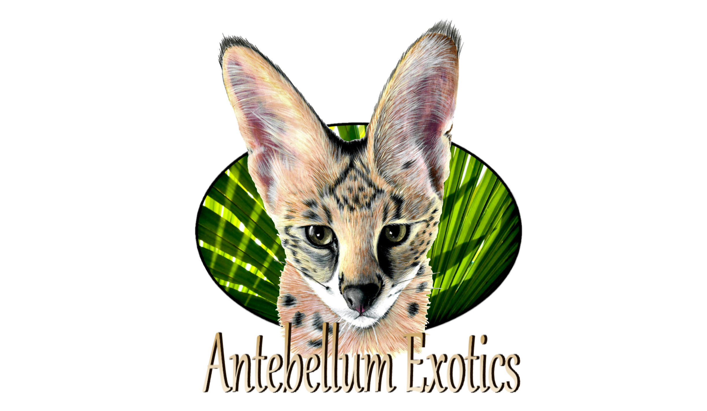 Antebellum Exotics logo