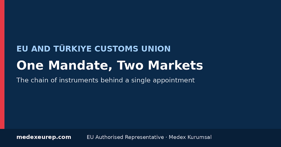 Can an EU Authorised Representative in Turkey Cover the EU Market?