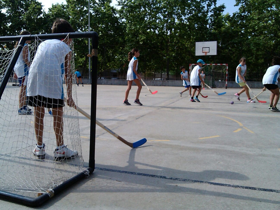 Esplubàsquet13