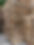 IMG_1372.jpeg