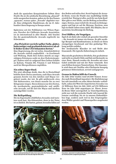 Artikel im Magazin Küchen und Design zumThema Avocado: Das grüne Herz Mexikos.