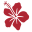 Writer: Holistic Med Group