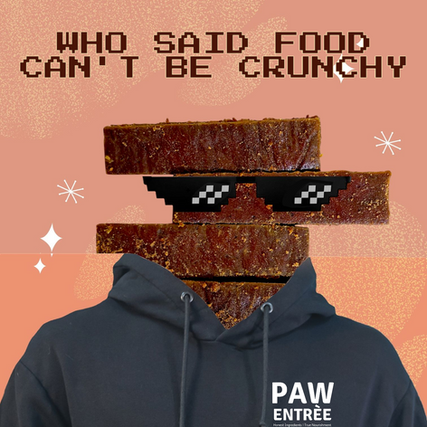 Person wearing a black hoodie with a stack of crunchy food as a head, sunglasses, and the text 'Who said food can't be crunchy'