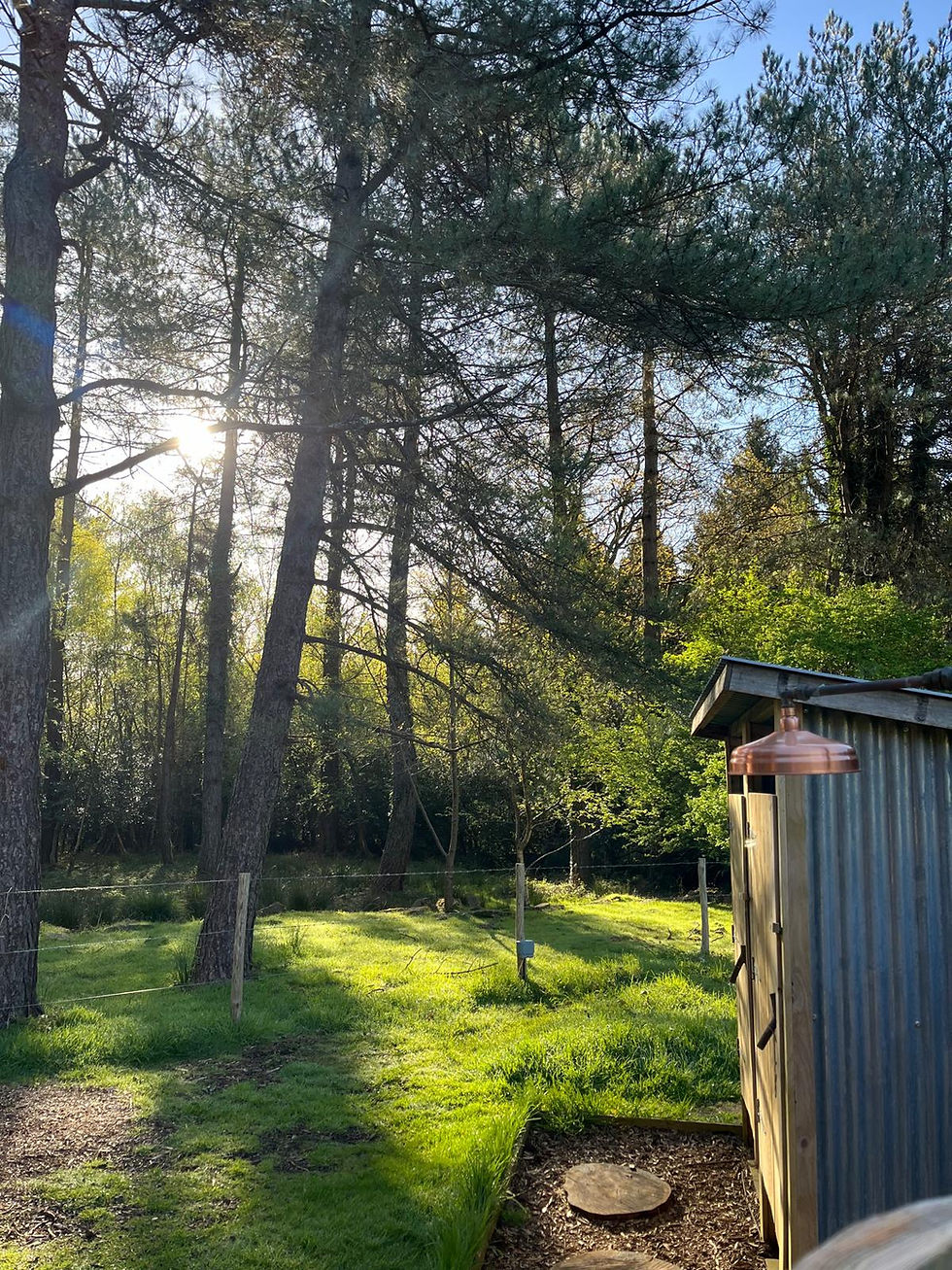 Rustic outdoor shower at wellness retreat in Dorset, UK