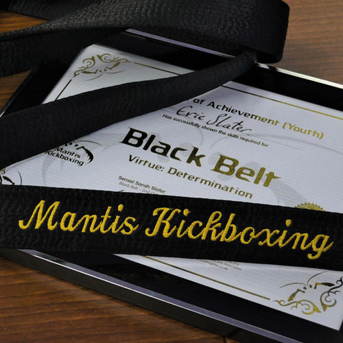 Private Grading Mantis Martial Arts