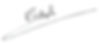 Rachels signature