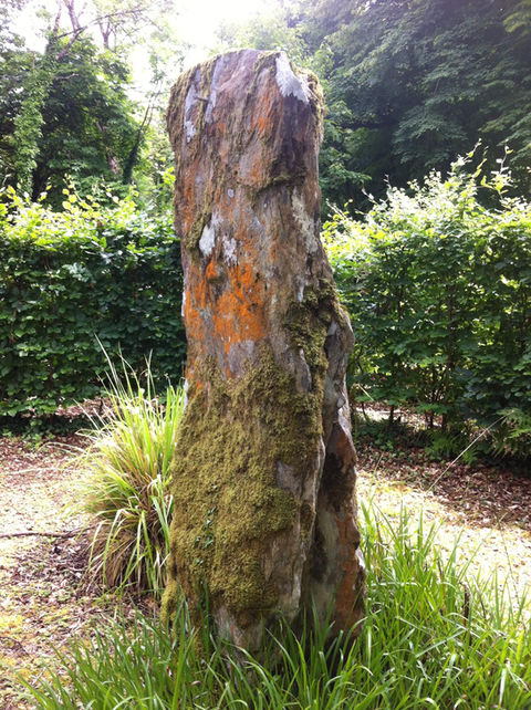 Natural bark