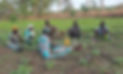 Africa image + Solar Boost.jpeg