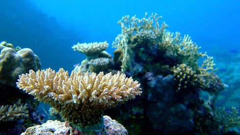 IMG_7238-001_edited.jpg