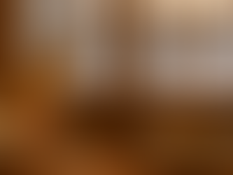 Dog and cat relaxing by window