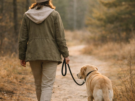 woman walking dog on forest path