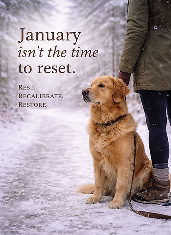 Woman and golden retriever on a snowy relaxing trail