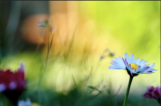 Screen Shot 2026-01-17 at 9.15.44 PM.png