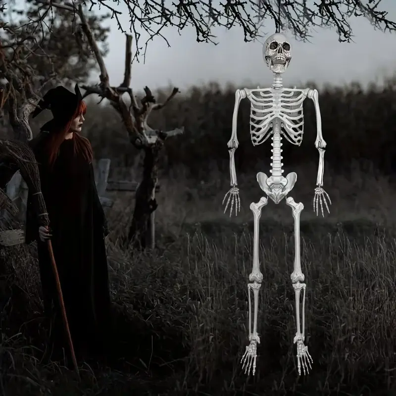 Thumbnail: Full Life Size Human Skeleton Halloween Prop