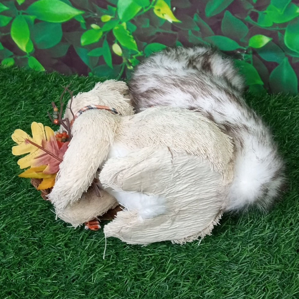 Thumbnail: 🍂 Fall Squirrel Decor