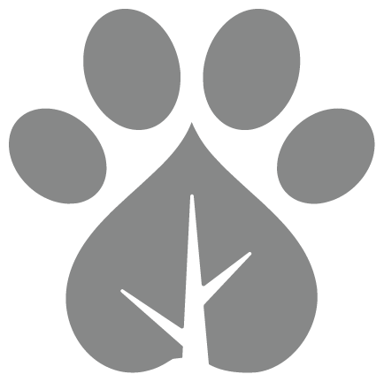 Web First Buddy-seccionado-04.png