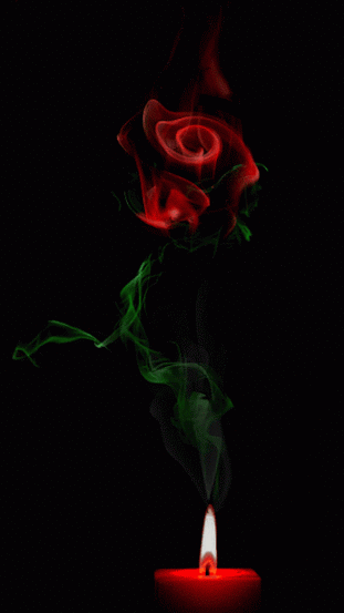 rosa.gif