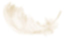single-gold-feather-lying-upright-joanna-szmerdt_edited_edited_edited_edited.jpg