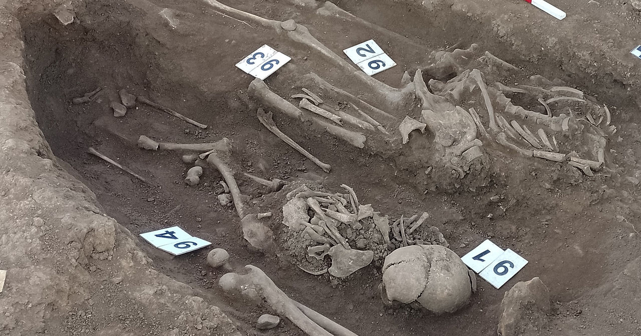 skeleton excavation