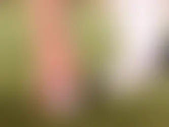 Preferred Lies & Winter Rules