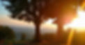 IMG_0733.jpeg
