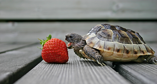 Add a heading (59).png