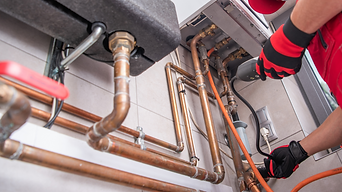 Untitled design - 2024-02-13T124550.280.png