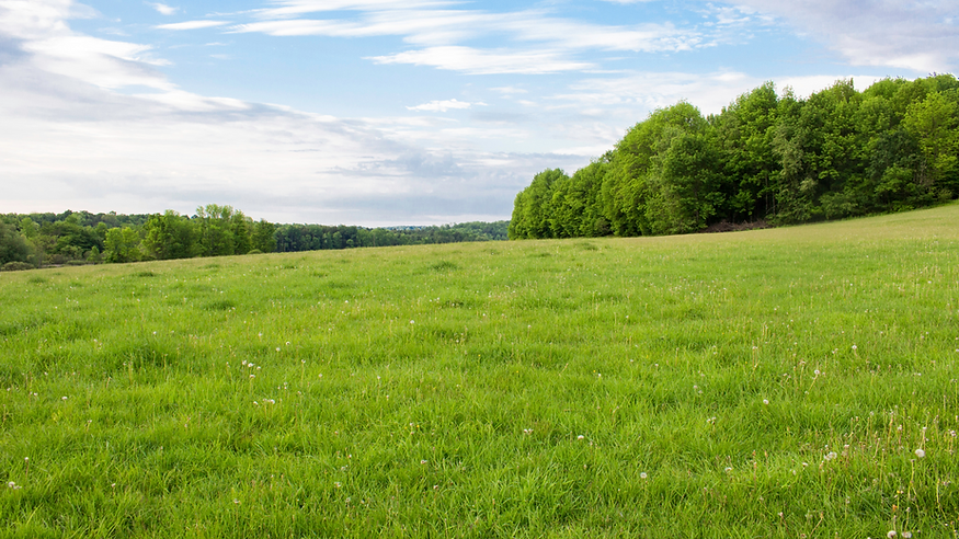 Untitled design - 2025-05-21T135630.295.png