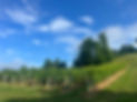 IMG_0853 (1).jpeg