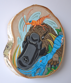 "Platypus and Freshwater Yabby"