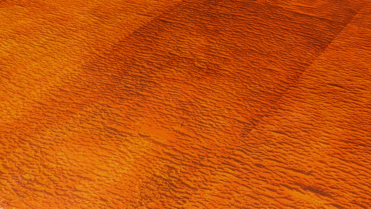 Elephant in the room