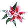 Flower Girl