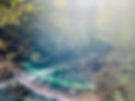 5a0b230e-157d-4ad4-b57e-d68545857194_edited.jpg